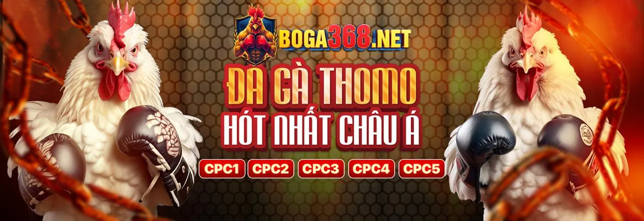 Các loại chương trình khuyến mãi phong phú tại nohu77 khuyến mãi